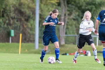Bild 249 - B-Juniorinnen SV Henstedt Ulzburg - Hamburger SV : Ergebnis: 2:3